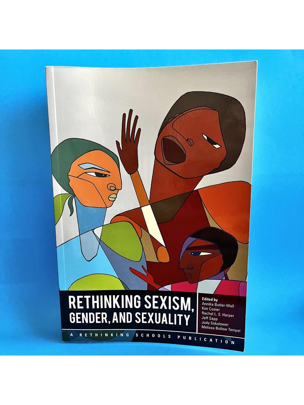 Rethinking Sexism, Gender, and Sexuality - Educational Paperback Book
